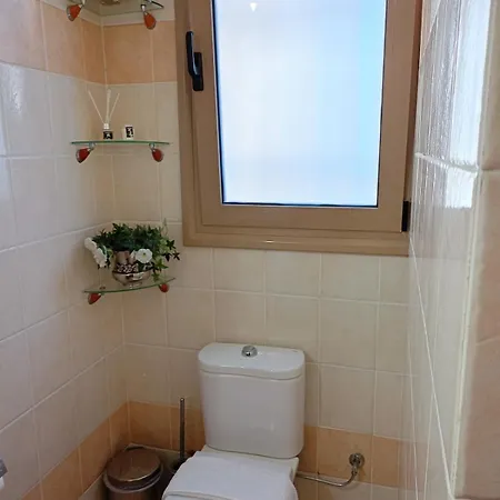 Sunny Palm Apartament Jalisos